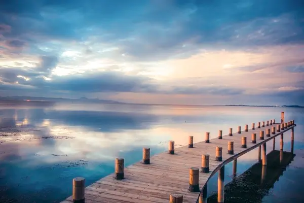 委贷的法律责任是什么