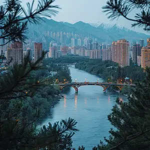 外国人为什么普及法律