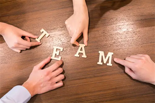 经营公司看什么法律