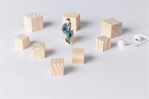 什么大学有辅修法律